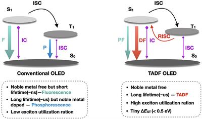 Recent Advances in Thermally Activated Delayed Fluorescent Polymer—Molecular Designing Strategies